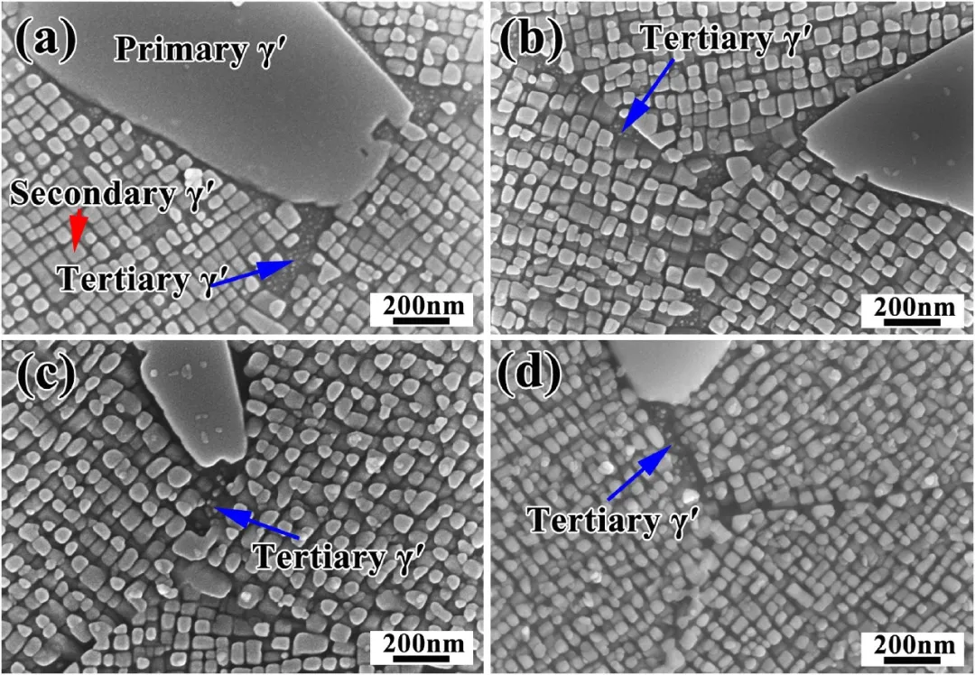北京科技大学 | Acta | 颠覆认知：三个不全位错协同运动，钴镍基高温合金实现零应变孪晶！
