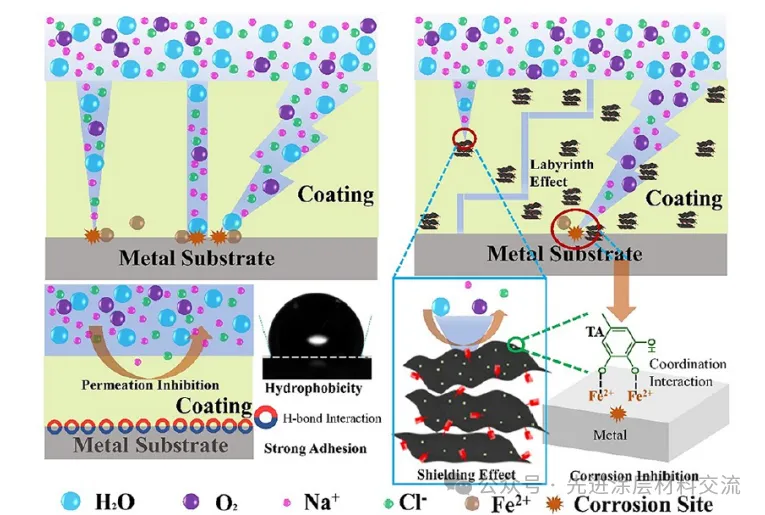 文献分享| ACS |受贻贝化学与 “砖 - 泥” 结构启发的纳米复合涂层及其长效海洋防污防腐性能