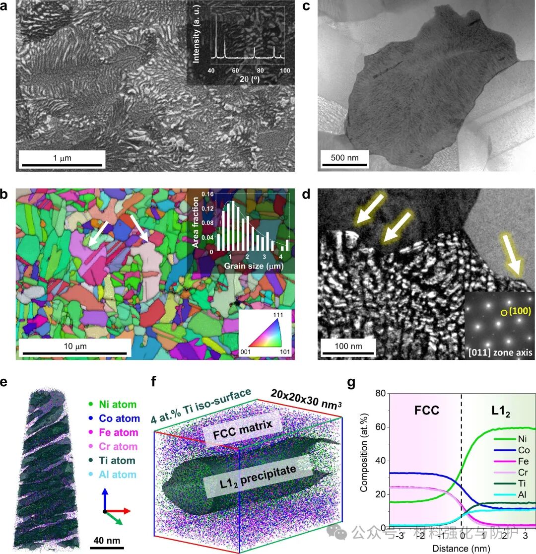 Acta Materialia丨破解高强度与抗氢脆“死结”：不连续L12析出设计出双性能兼得高熵合金