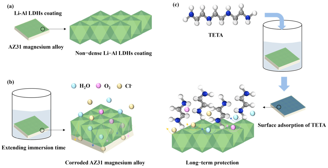 中山大学冯志远副教授：TETA改性Li-Al层状双氢氧化物对AZ31镁合金在模拟海水中腐蚀防护的研究 | MDPI Metals