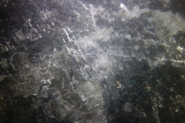 图三 深圳蛇口港钢管桩预处理后(水下拍摄)