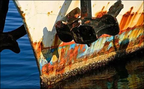 u=1920530623,3744753285&fm=11&gp=0