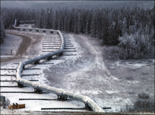 2c5ec195c31ca22e6a146c53c81c0c32